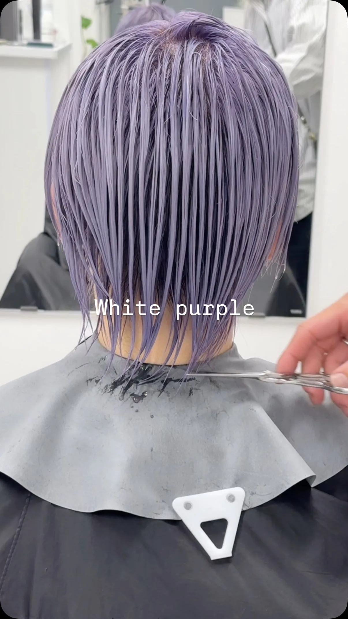 “White Purple Grace”