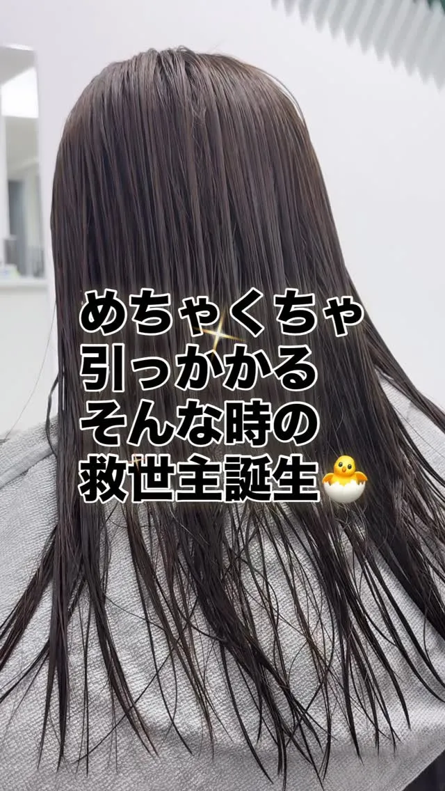 とても人気なウエラから