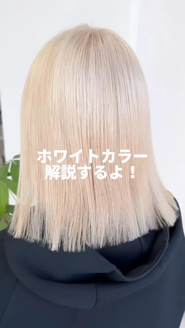 ホワイトカラー！